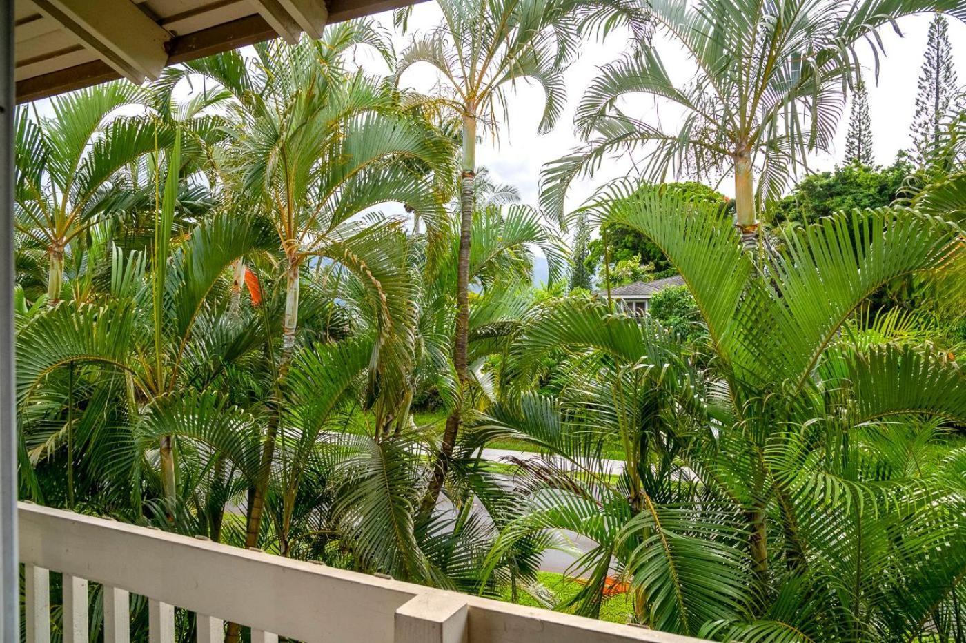 Paniolo 204B Apartment Princeville Ngoại thất bức ảnh